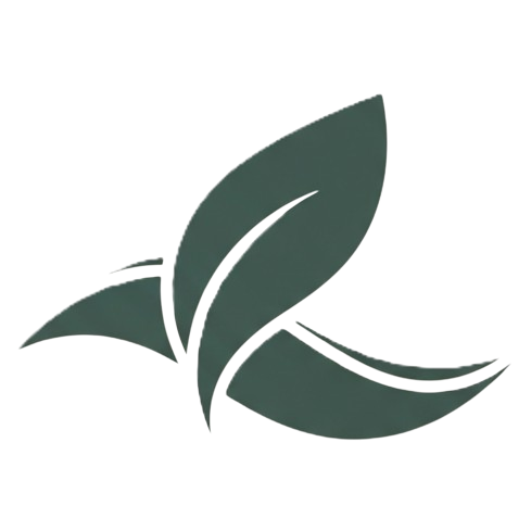 Healthy Vitality Now